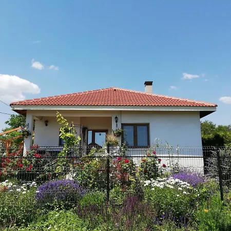 House Albena *