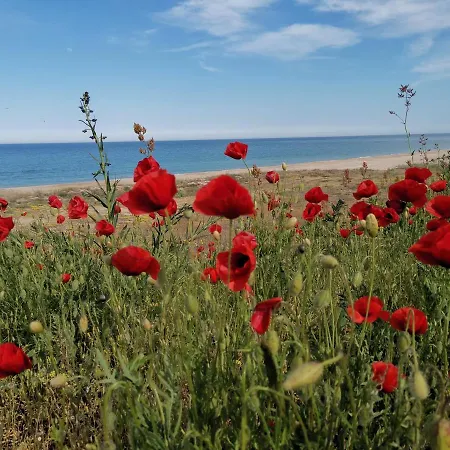 House Albena דורנקולק