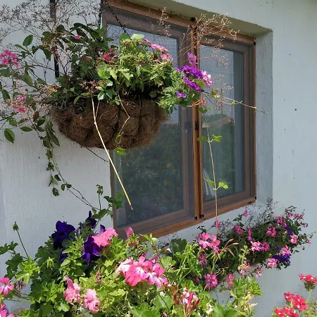 House Albena Han *