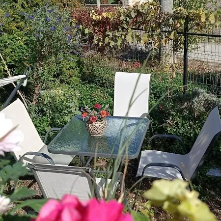 אורחן House Albena