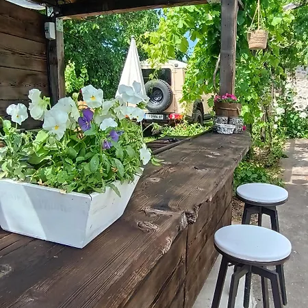 House Albena