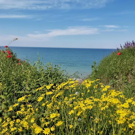 Inn House Albena *