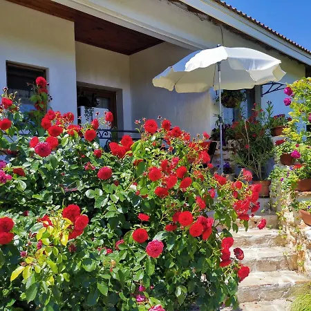 House Albena דורנקולק