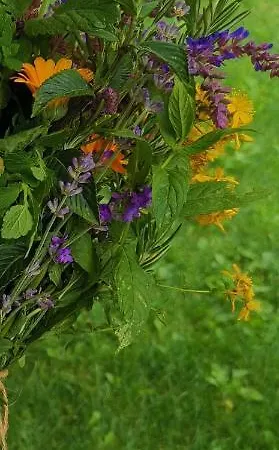 House Albena * Durankulak