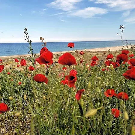 Inn House Albena *