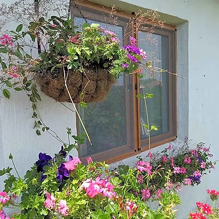 Inn House Albena Durankulak