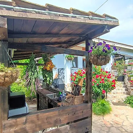 House Albena