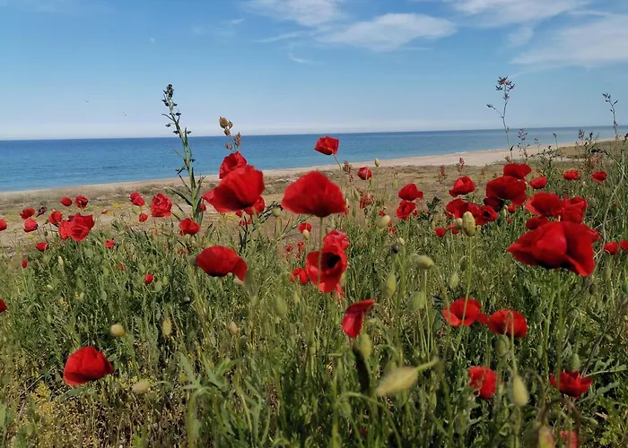 House Albena Durankulak