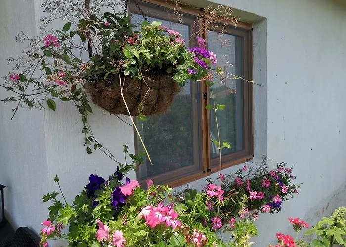 House Albena Πανδοχείο *