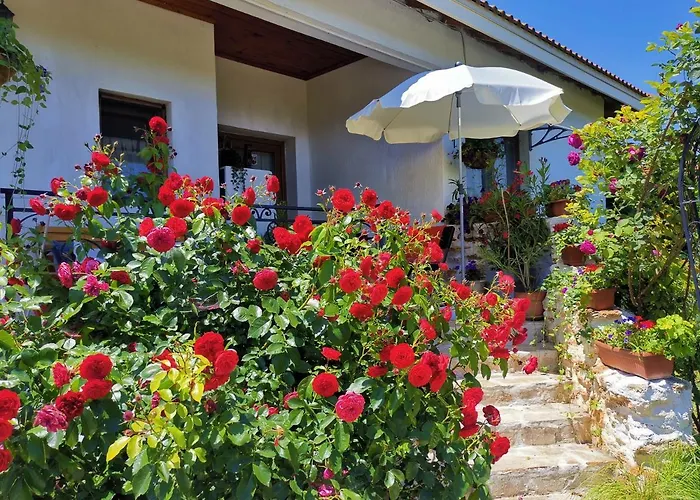 House Albena Durankulak