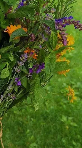 House Albena * Durankulak