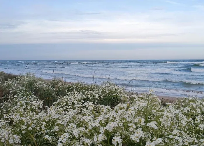 House Albena Durankulak